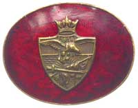 \Alegoria Polski\" odznaka Naczelnego Komitetu Narodowego 16 VIII 1914