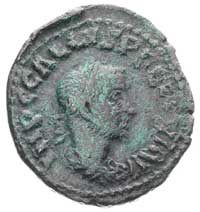 MOESIA SUPERIOR-Viminacjum, Trebonianus Gallus, 251-253 AE-27, Aw: Popiersie w prawo i napis Rw: M..