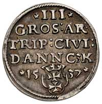 trojak 1537, Gdańsk, odmiana napisów PRVS / DANNC3K, T. 2, patyna