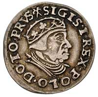 trojak 1539, Gdańsk, końcówka napisu PRVS, korona bez krzyża