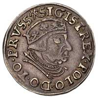 trojak 1539, Gdańsk, końcówka napisu PRVSS, korona bez krzyża, patyna