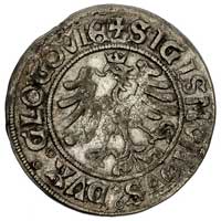 grosz bez daty, Głogów, T. 1.50, moneta bita przez królewicza Zygmunta jako księcia głogowskiego