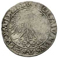 grosz 1535, Wilno, bardzo rzadka odmiana z liter