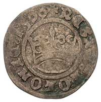 pólgrosz z omyłkową datą 1599 (zamiast 1509), Kr