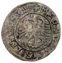 półgrosz 1527, Wilno, rzadsza odmiana z omyłkowym napisem SIGISMVANDI na awersie i odwróconą liter..