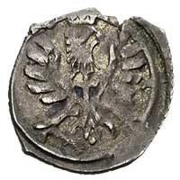 denar 1612, Poznań, T. 7, rzadki, patyna