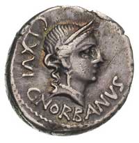 C. Norbanus 83 r pne, denar, Aw: Głowa Wenus w  