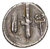C. Norbanus 83 r pne, denar, Aw: Głowa Wenus w  