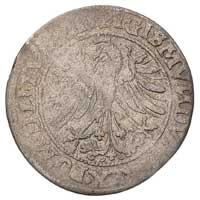 zestaw monet: grosz 1535 i 1536, Wilno, odmiany 