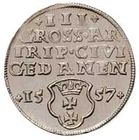 trojak 1557, Gdańsk, T. 3, odmiana bez wewnętrznej obwódki i z lilijką na końcu napisu, moneta bez..
