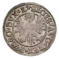 półgrosz 1546, Wilno, typ III, na awersie Orzeł starego typu, na rewersie Pogoń w hełmie z piórami..