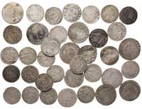 zestaw monet: Zygmunt I Stary -grosz 1531, Toruń i półgrosz koronny z omyłkowymi napisami powstały..