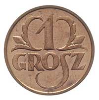grosz 1925, Warszawa, Parchimowicz 101 b