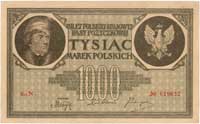 1.000 marek polskich 17.05.1919, seria N, Miłczak 22b, Lucow 345 R4, wyśmienity stan zachowania