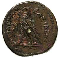 Egipt, Ptolemeusz IV Philopator 221-204 pne, AE-41, Aw: Głowa Zeusa Ammona w diademie w prawo, Rw:..