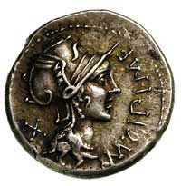 M. Cipius M.f. 115 -114 pne, denar, Aw: Roma w hełmie, w polu przed głową napis M.CIPI,M.F z tyłu ..