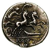 M. Cipius M.f. 115 -114 pne, denar, Aw: Roma w hełmie, w polu przed głową napis M.CIPI,M.F z tyłu ..