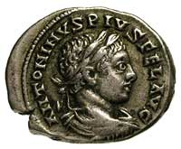 Elagabal 218-222, denar, Aw: Popiersie w prawo, Rw: Dwa sztandary, obok dwa proporce z orłami, w o..