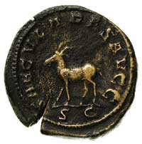 Filip I 244-249, sestercja, Aw: Popiersie w prawo, Rw: Kroczący jeleń, w otoku napis SAECVLARES AV..