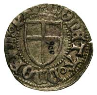 Henryk I Reuss von Plauen 1467-1469 - jako administrator, szeląg, Aw: Tarcza wielkiego mistrza i n..