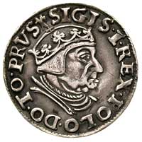 trojak 1538, Gdańsk, na awersie końcówka napisu PRVS, ciemna patyna