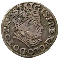 trojak 1538, Gdańsk, na awersie końcówka napisu PRVSS, patyna