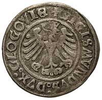 grosz 1506, Głogów, moneta wybita przez królewicza Zygmunta jako księcia głogowskiego