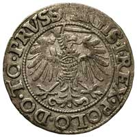 grosz 1540, Elbląg, na awersie końcówka napisu PRVSS, patyna