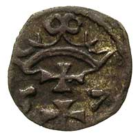 denar 1557, Gdańsk, T. 10, ciemna patyna, rzadki