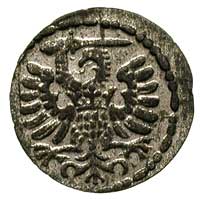 denar 1593, Gdańsk, T. 2, rzadki