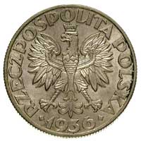 5 złotych 1936, Warszawa, Żaglowiec, Parchimowicz 119, ładne