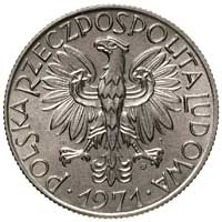 5 złotych 1971, Warszawa, Parchimowicz 220 d, rzadka moneta, wyszukany bardzo ładny egzemplarz