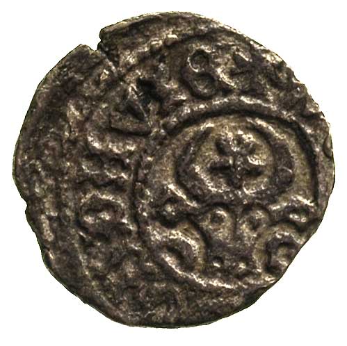 wojewoda Stefan III 1457-1504, grosz, Aw: Głowa wołu z gwiazdą między rogami, Rw: Tarcza herbowa z krzyżem i rozetą, Kop. 3749 R5, 0.76 g