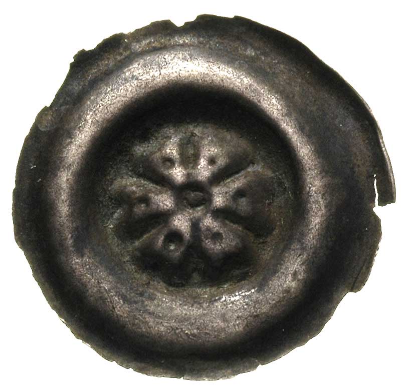 szeroki brakteat, (2 poł. XIII w.), Rozeta sześciopłatkowa, Fbg 973, 0.59 g