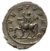 Trajan Deciusz 249-251, antoninian, Aw: Popiersie w koronie radialnej w prawo i napis IMP C M Q TR..