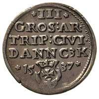 trojak 1537, Gdańsk, T. 2, nieco rzadszy rocznik