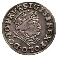 trojak 1539, Gdańsk, na awersie końcówka napisu PRV, przy nominale i dacie rozetki, ładne lustro m..