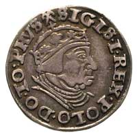 trojak 1540, Gdańsk, na awersie końcówka napisu PRVS, ładna patyna