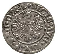 półgrosz 1546, Wilno, awers - orzeł starszego typu, na rewersie mała Pogoń, cyfry daty duże i koni..