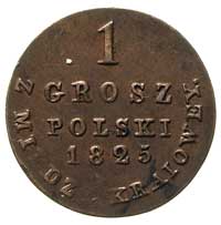 grosz z miedzi krajowej 1825, Warszawa, Plage 217, Bitkin 904, ładna patyna