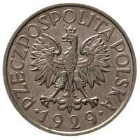 1 złoty 1929, Warszawa, Parchimowicz 108, drobne