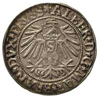 grosz 1537, Królewiec, Bahr. 1164, Neumann 45, ł