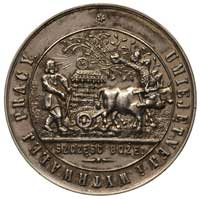 medal Oddział Stryjsko-Żydaczowski Galicyjskiego