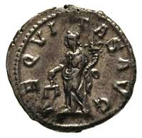 Aleksander Sewer 222-235, denar, Aw: Popiersie cesarza i napis wokoło, Rw: Aequitas stojąca w lewo..