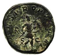 Gordian III 238-244, sestercja, Rzym, Aw: Popier