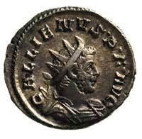Gallienus 253-268, antoninian, Kolonia, Aw: Popiersie w koronie radialnej, Rw: Trofea wojenne, pon..