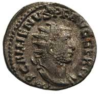 Gallienus 253-268, antoninian, Aw: Popiersie w koronie radianej w prawo, Rw: Krocząca Victoria w l..
