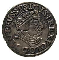 trojak 1538, Gdańsk, końcówka napisu PRVSS, korona bez krzyżyka, minimalna wada blachy, na rewersi..
