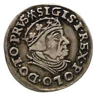 trojak 1539, Gdańsk, końcówka napisu PRVS, korona bez krzyżyka