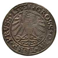 grosz 1533, Toruń, w wyniku błędu menniczego dwi